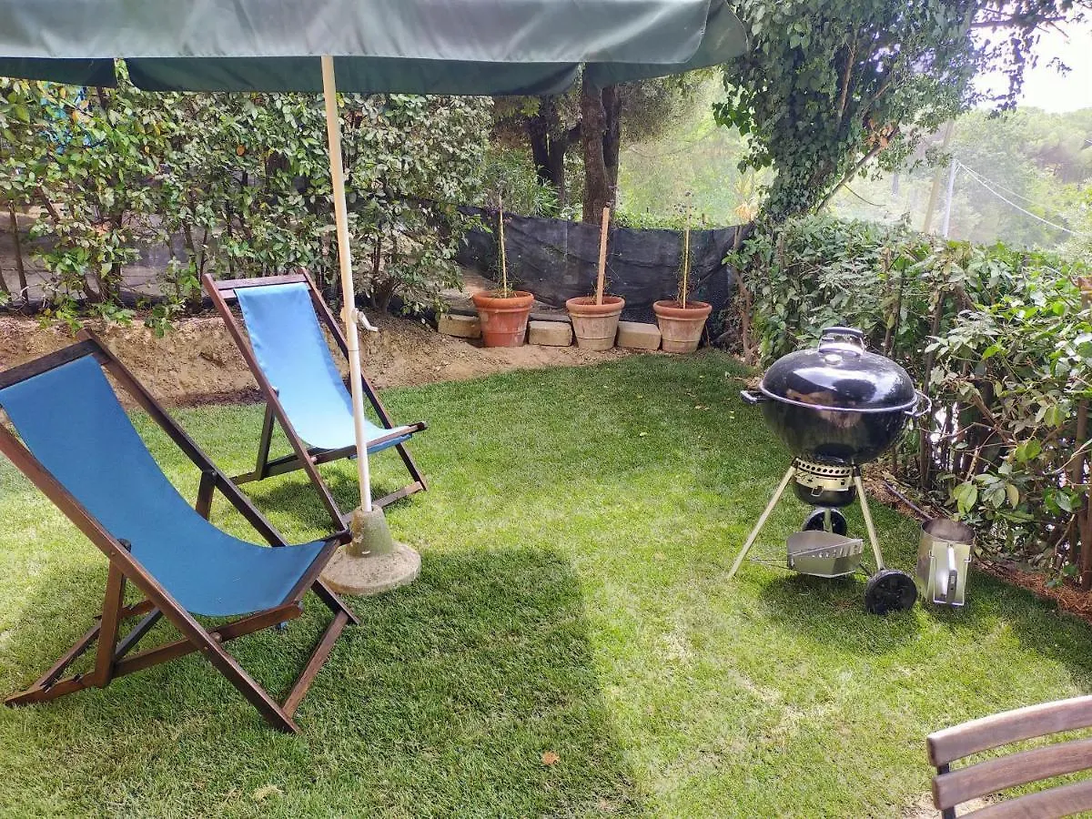The Olive House Villa Castelfiorentino Holiday home