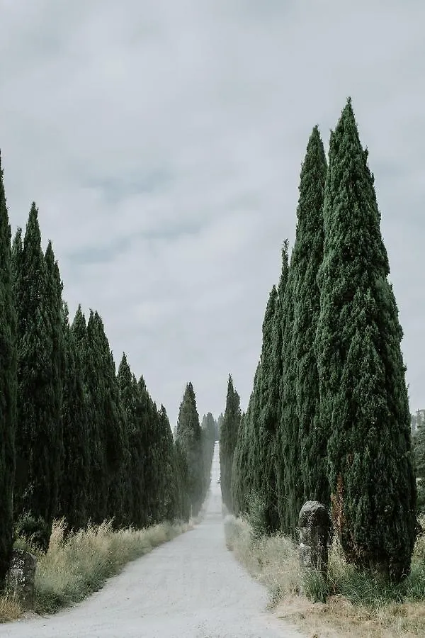 The Olive House Villa Castelfiorentino