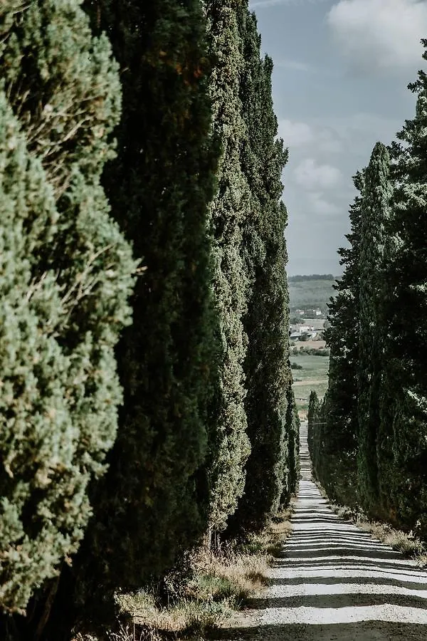 The Olive House Villa Castelfiorentino 0*,